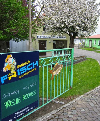 hofladen-fischerei-angermuende1 hofladen-fischerei-angermuende1